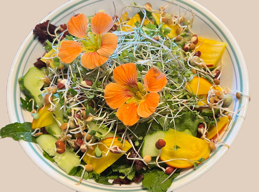 Elevating Meals with Microgreens